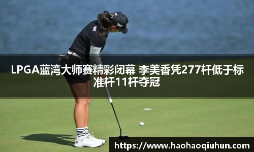 乐竟官网